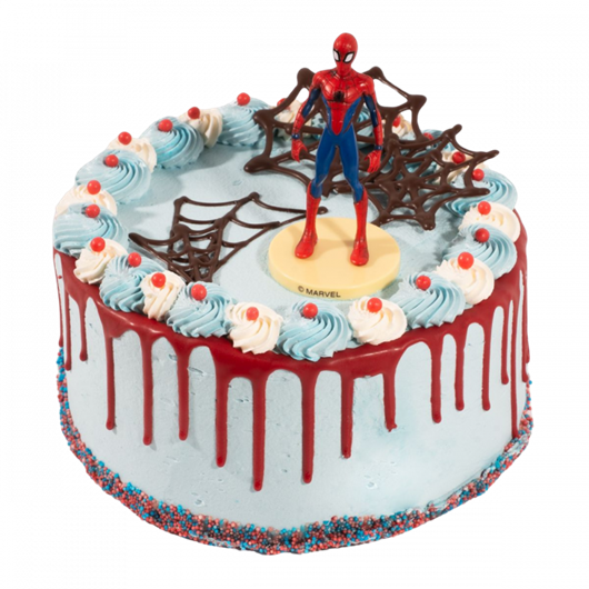 3D Kindertaart “Spiderman” 10-12 Pers € 49,50
